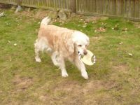 Camillas Geburtstag 13 Jahre Heute